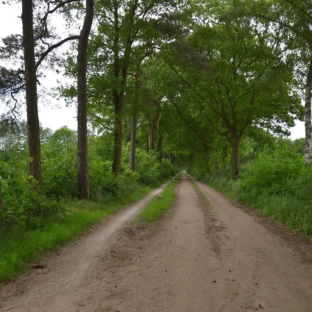 Splendid Holiday In Guelders With Garden Casa de Férias